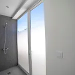 Odyssey With Private Heated Pool In * プラヤ・ブランカ